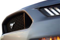 2015-2023 Mustang Grilles