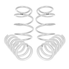 2015-2023 Mustang Lowering Springs