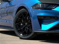 2015-2023 Mustang
