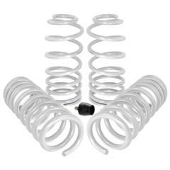 1994-2004 Mustang Lowering Springs 