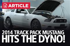 CAI + Tune 2014 Track Pack Mustang GT Dyno!