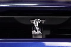 Cobra/Mustang Grille Emblem Install