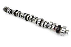 Ford Performance Mustang Camshafts