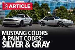 Silver Mustang Colors & Paint Codes
