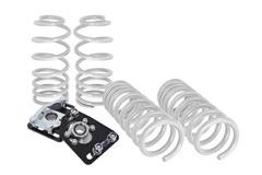 SVE Mustang Lowering Springs & Suspension